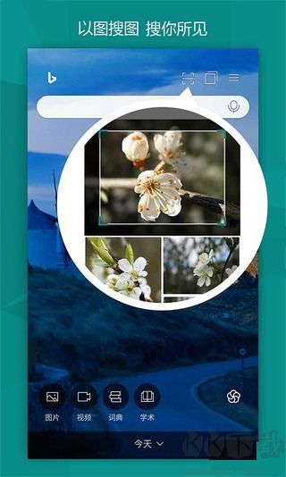 必應(yīng)app國(guó)際版 v28.6.4安卓版1