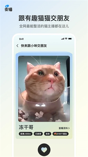 哈啰街貓流浪貓app安卓版 v1.30.00