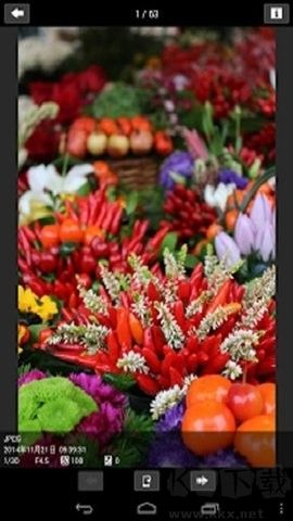 CameraConnect中文版 v3.2.11