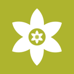 安裝獅app(Install Lion) v3.7.5