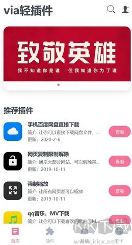 via輕插件高級版 v6.1.00