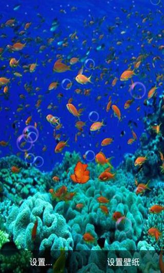 海底動(dòng)態(tài)壁紙(Ocean HD手機(jī)壁紙軟件) v1.8 安卓版3