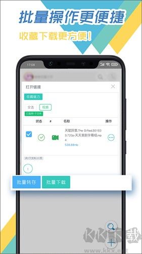 飛鳥下載器 v3.96最新版2