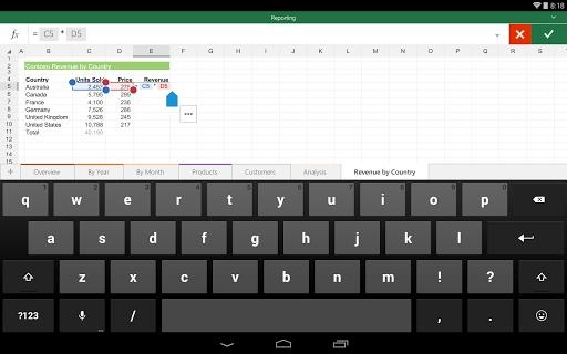 Microsoft Excel1