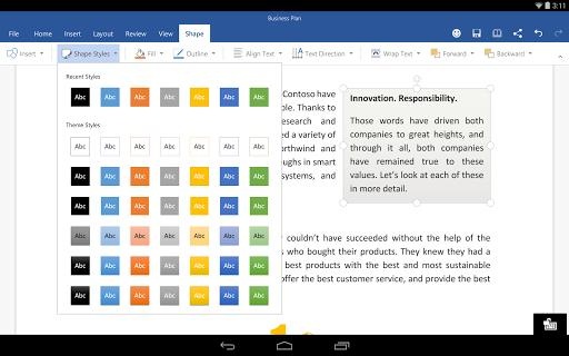 Microsoft Word2