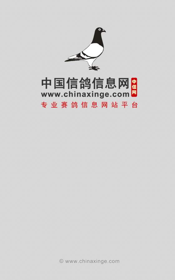 中國信鴿信息網0