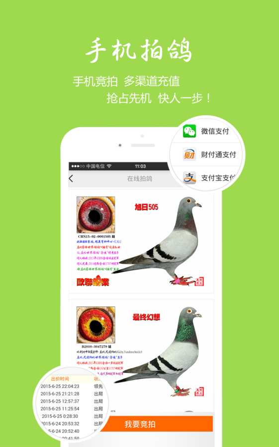 中國信鴿信息網2