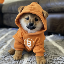 DOG/DOG