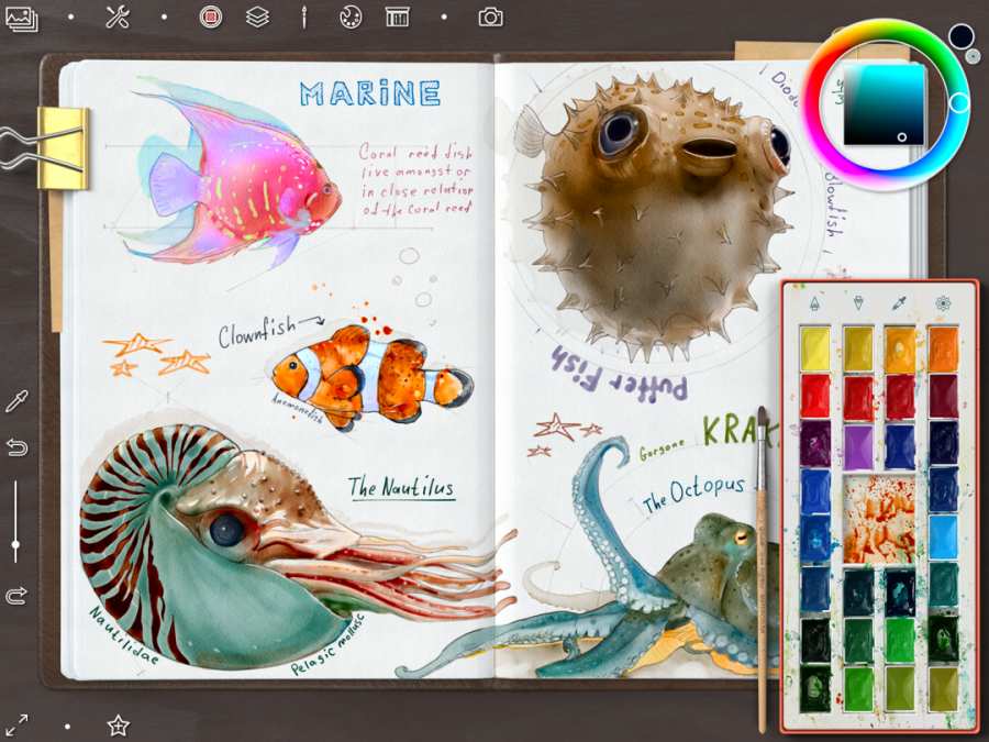 Realistic Paint Studi?o?0