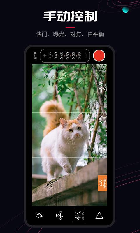 ProMovie0