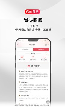 網易考拉2