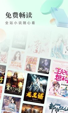 書旗小說1
