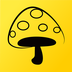 蘑菇丁 for android v3.1.9 安卓手機版(已下架)