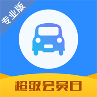 車300專業版