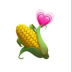 CORN/CORN