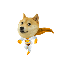 ZILLADOGE(ZILLADOGE TOKEN)