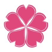櫻花動漫官網進入界面