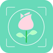 拍照識花