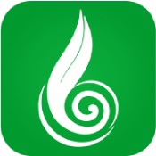 藥通網免費版