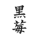 黑莓小說(shuō)app最新版
