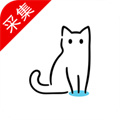 貓影視TV版2025最新版