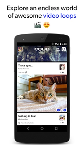 coub1