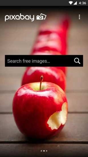 pixabay1