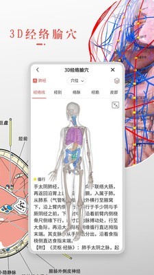 3d人體解剖學3