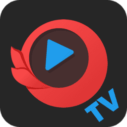 今日影視tv電視版