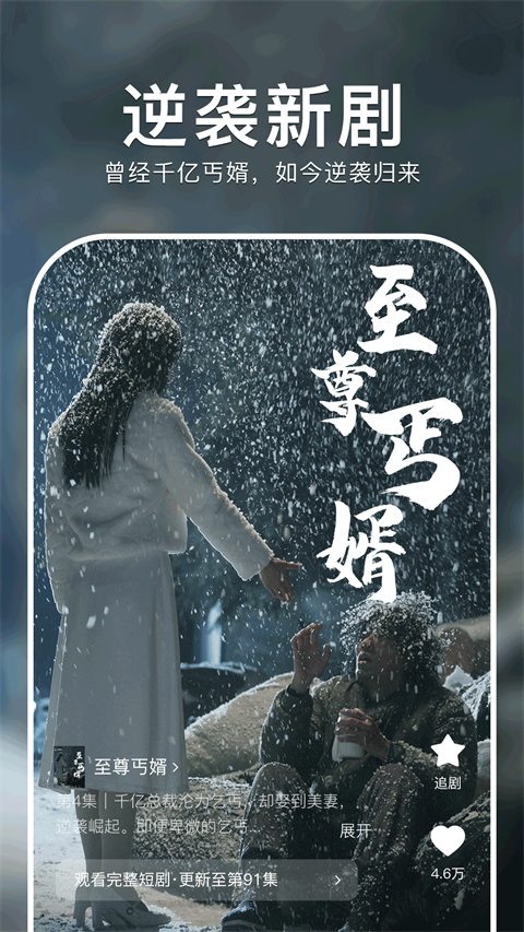 紅果免費短劇 電視版4