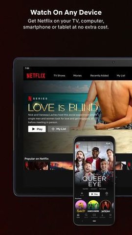 奈飛netflix 官方正版0