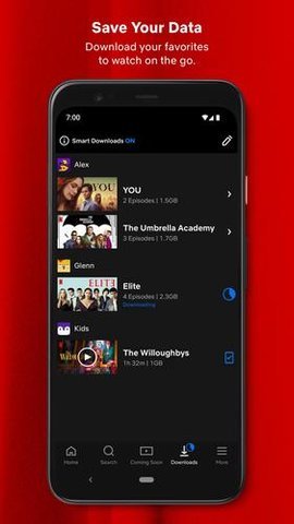 奈飛netflix 官方正版2