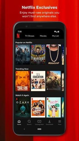 奈飛netflix 官方正版1