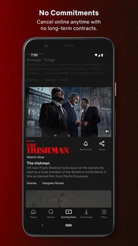 奈飛netflix 官方正版3