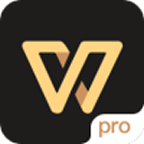 WPS Pro專業版