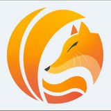 翼虎網