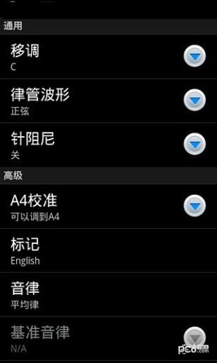 專業(yè)調(diào)音器2