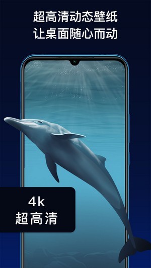 動態主題1
