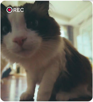 抖音舊版本APP2