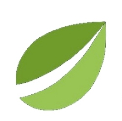 bitfinex交易所app