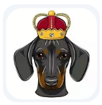 狗王幣dogeking交易所官方安卓版