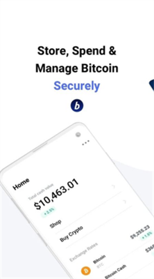 bitpay中文版app安卓版0