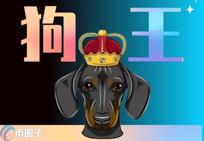 DOGEK幣|Doge King0