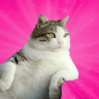 FATCAT幣/Tombili the Fat Cat