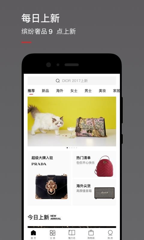 魅力惠2