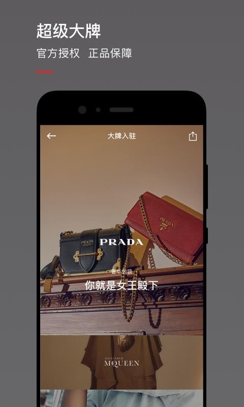 魅力惠1