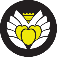YMS幣/Yeni Malatyaspor Token