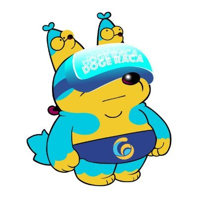 Doge Raca交易所|DOCA交易平臺