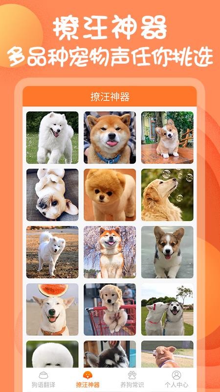 狗狗聊天交流器0