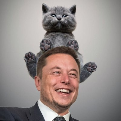 ELON CAT COIN交易所|ELONCAT交易平臺